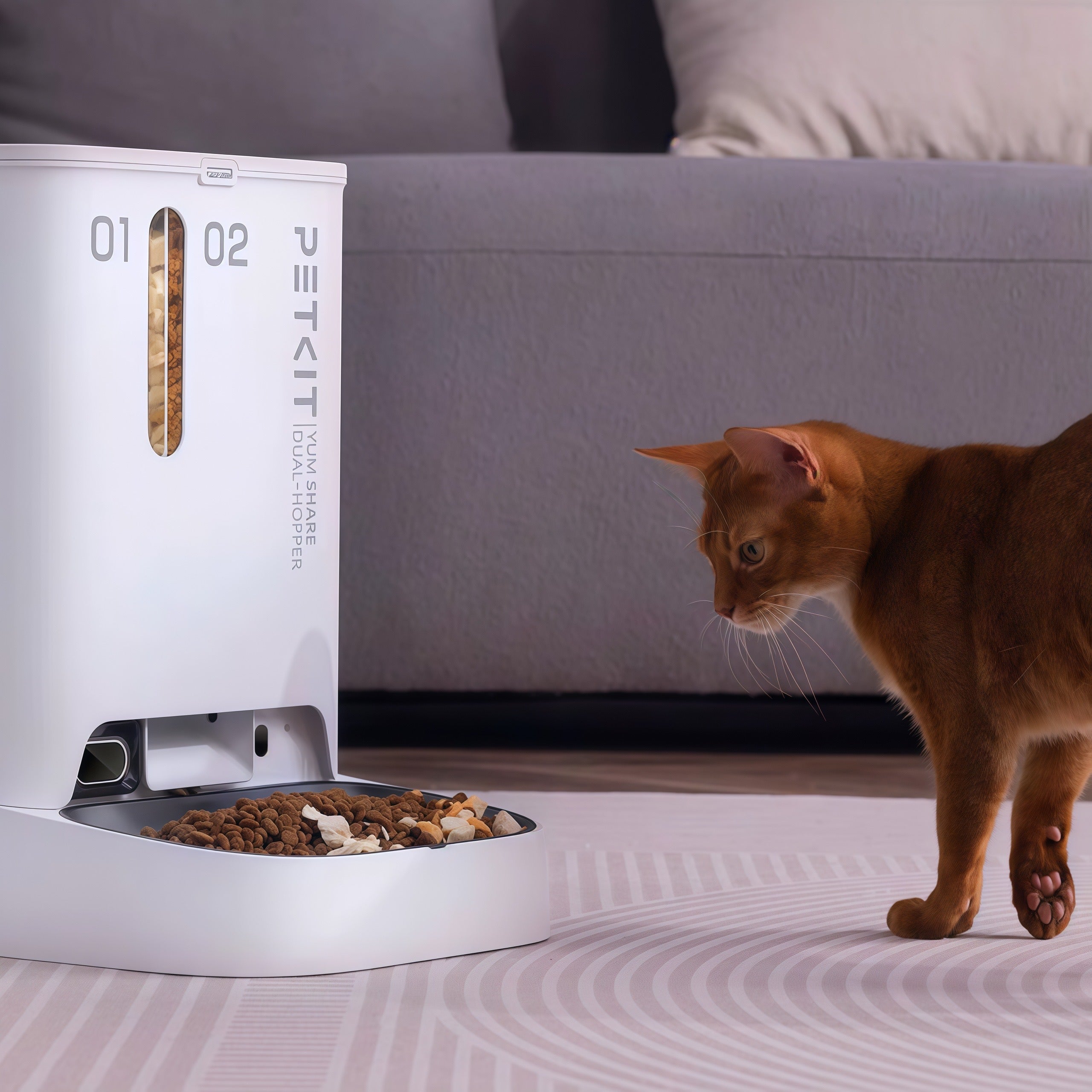 Alimentador de Pet Inteligente Wi-fi com Câmera - Petkit